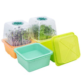 LUVCOSY microgreen-trays-5x5 on a kitchen counter for compact sprouting