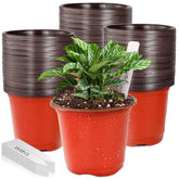LWWTBS plant pot with 4-inch opening supports seedling growth and easy transplanting