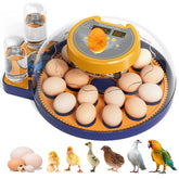LXZNCD 18-egg incubator front-angle view for compact home use.