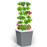 LYCereal hydroponics tower assembly shows quick, mess-free setup for indoor gardening