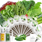 LYKOCLEAN 8-pod salad seed kit for AeroGarden ready for home growing