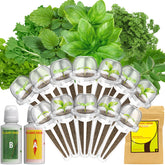 LykoClean seed pod kit contents with grow sponges and labels for easy hydroponics.