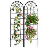 LZRS arch trellis two-pack supports climbing plants in outdoor gardens.
