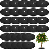 Macarrie weed barrier ring with 42 cm outer diameter protects roots from lawn damage