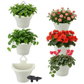 MADHOLLY 6PC vertical hanging planters on wall display for compact herb and flower gardening