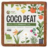 MagJo Naturals coco-peat block expands to support seedlings with airy roots.