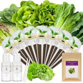 Majero Salad Greens Seed Pod Kit with AeroGarden setup for crisp lettuce.