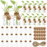 Majhulla propagation jar with clear vase shows roots and water level at a glance.