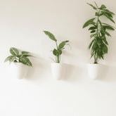Make Good PlantPod Luxe set mounted on wall for space-saving vertical garden