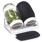 Malastar sprouting kit with 32oz wide-mouth jar for easy home sprouts.