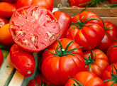 Marde Ross & Company beefsteak tomato seeds pack for home gardening and planting