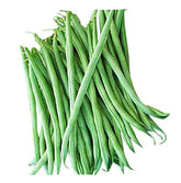 Marde Ross Burpee Stringless green bean seeds pack ready for canning and fresh harvest.