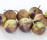 De Milpa Tomatillo Seeds pack by Marde Ross & Company, 50+ seeds for home gardens.