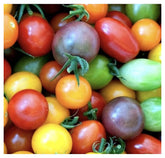 Marde Ross Rainbow Cherry Tomato Seeds packaging shows easy-to-grow colorful harvest for home gardens.