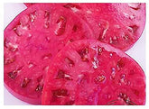 Marde Ross Watermelon Beefsteak seeds pack front with non-GMO and neonicotinoid-free labeling for home gardeners.