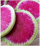Marde Ross & Company Watermelon Radish seeds pack ready for a colorful harvest.