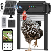 MASTERFUN WiFi automatic chicken coop door with camera provides live monitoring of your flock