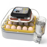 MATICOOPX 20 egg incubator front view for compact home hatching setup