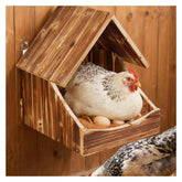 Matutinus wall-mounted chicken nesting box with wood construction for space-saving coop setup