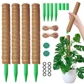 MAXDORIA moss pole stackable base for tall indoor plants offers solid support.