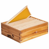MayBee 10-frame Langstroth beehive box with medium super ready for sturdy expansion.