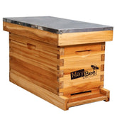 MayBee 5-Frame Nuc Beehive front view, durable cedarwood housing for long-lasting use