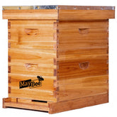 MayBee beehive 8-frame starter kit front view for beginner beekeeping setup