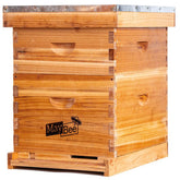 MayBee Beehive Starter Kit with deep brood box for beginner hive setup