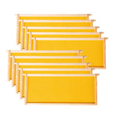 MayBee deep brood frames with wooden frame for sturdy hive setup.