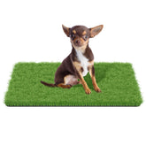 MAYSHINE fake grass for dogs, versatile for indoor and outdoor use, easy cleanup.