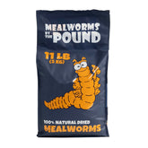 Mealworms by the Pound MBTP bulk dried mealworms packaging for easy storage and bulk feeding.