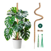 Mcbazel bendable moss pole 120cm supports Monstera growth with flexible shaping.