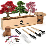 Meekear bonsai kit contents shown for beginners, complete starter set for home gardening
