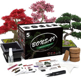 Meekear bonsai-kit-pots: five self-watering pots support easy germination and care