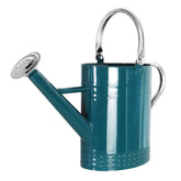 Megawodar 1 gallon watering can with removable spout for indoor and outdoor use