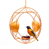 MEKKAPRO Sun Baltimore Oriole Feeder with sun design attracts orioles in the garden.