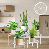 mekpiwu 5-piece metal plant rack set in black for versatile indoor outdoor displays