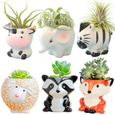Melphoe cartoon air plant holder with a playful animal design for desk decor.