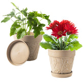 Melphoe 8-inch plant pot with vine-embossed texture for attractive indoor display