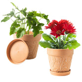 Melphoe 8-inch plant pot with drainage holes and saucer for indoor use.