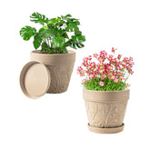 Melphoe 7-inch plant pot with drainage and saucer for indoor care.