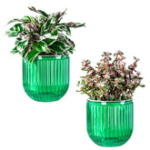 Melphoe self-watering pot outer view shows clear moisture monitoring for easy care.