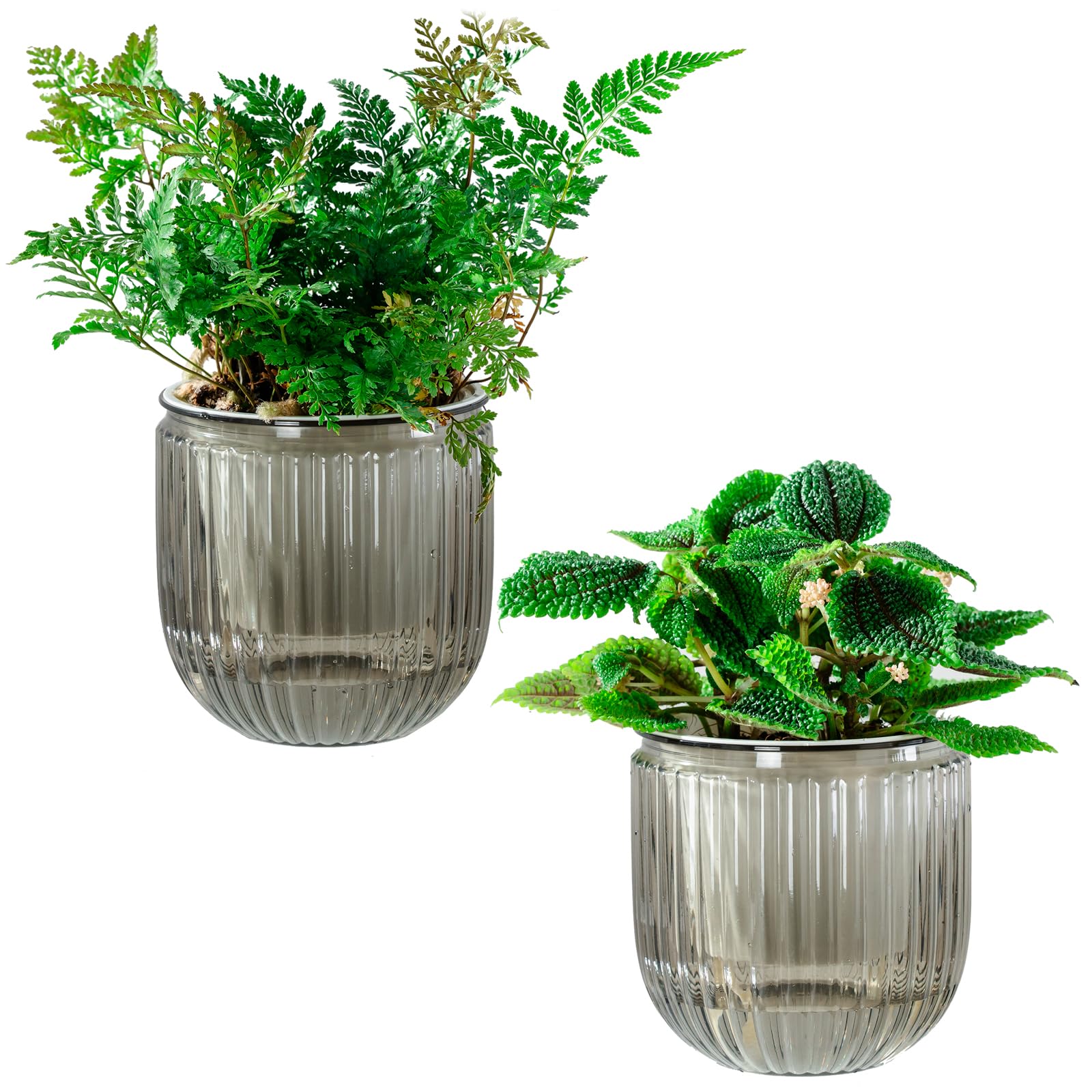Melphoe self-watering pot outer view with clear reservoir for easy water checks.