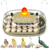 MEMTIM incubator 360° viewing dome provides full visibility for embryo checks