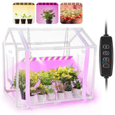 Meonum mini greenhouse seedling-warmth creates a stable microclimate for healthy seedlings.