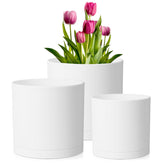 Meowell 12-inch cylinder plant pot with drainage holes for healthy indoor greenery.