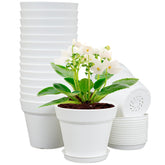 Meowell 4-inch nursery pot with drainage holes and saucer for tidy plant watering