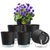 Meowell 6-inch self-watering pot with drainage holes maintains soil moisture.