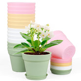 Meowell 6-inch plastic nursery pot with durable build for seedlings