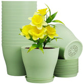 Meowell 6-inch plastic nursery pot with durable design for indoor gardening.